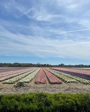 De Zeemeermin, Free Parking Apartmán Zandvoort