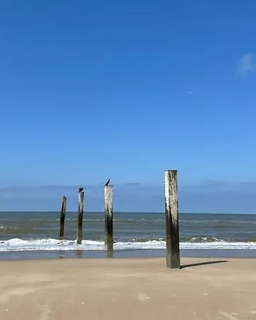 De Zeemeermin, Free Parking *