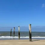 De Zeemeermin, Free Parking *