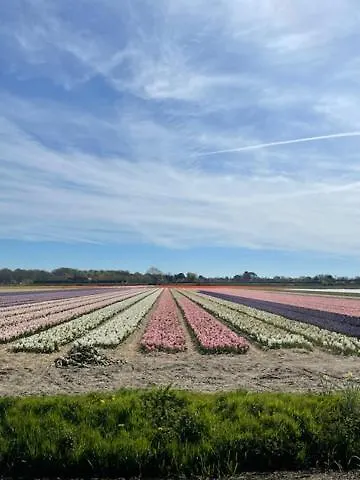 De Zeemeermin, Free Parking Appartement Zandvoort