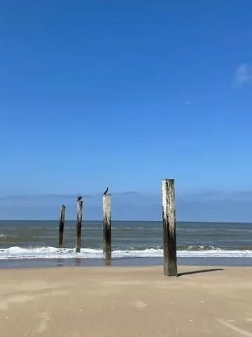 De Zeemeermin, Free Parking *