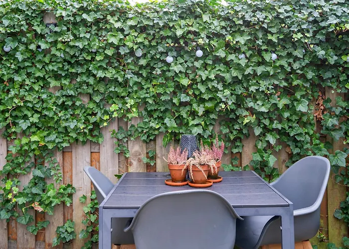 De Zeemeermin, Free Parking *